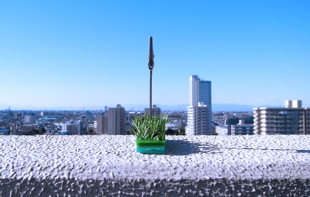 芝memoと空