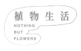 midori-family