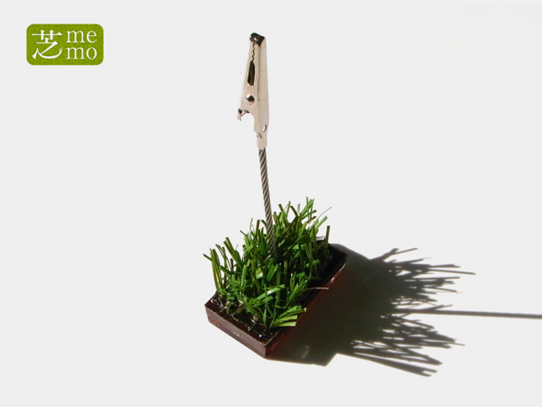 芝memoブラウン1