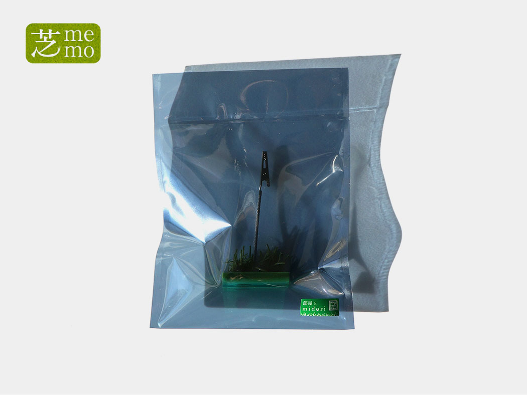 芝memoグリーン5