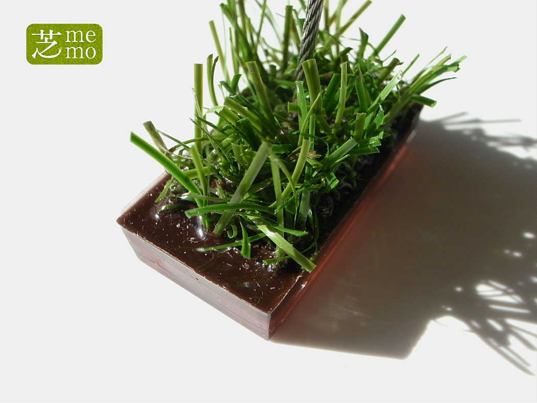 芝memoブラウン2