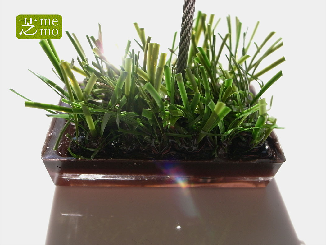 芝memoブラウン4