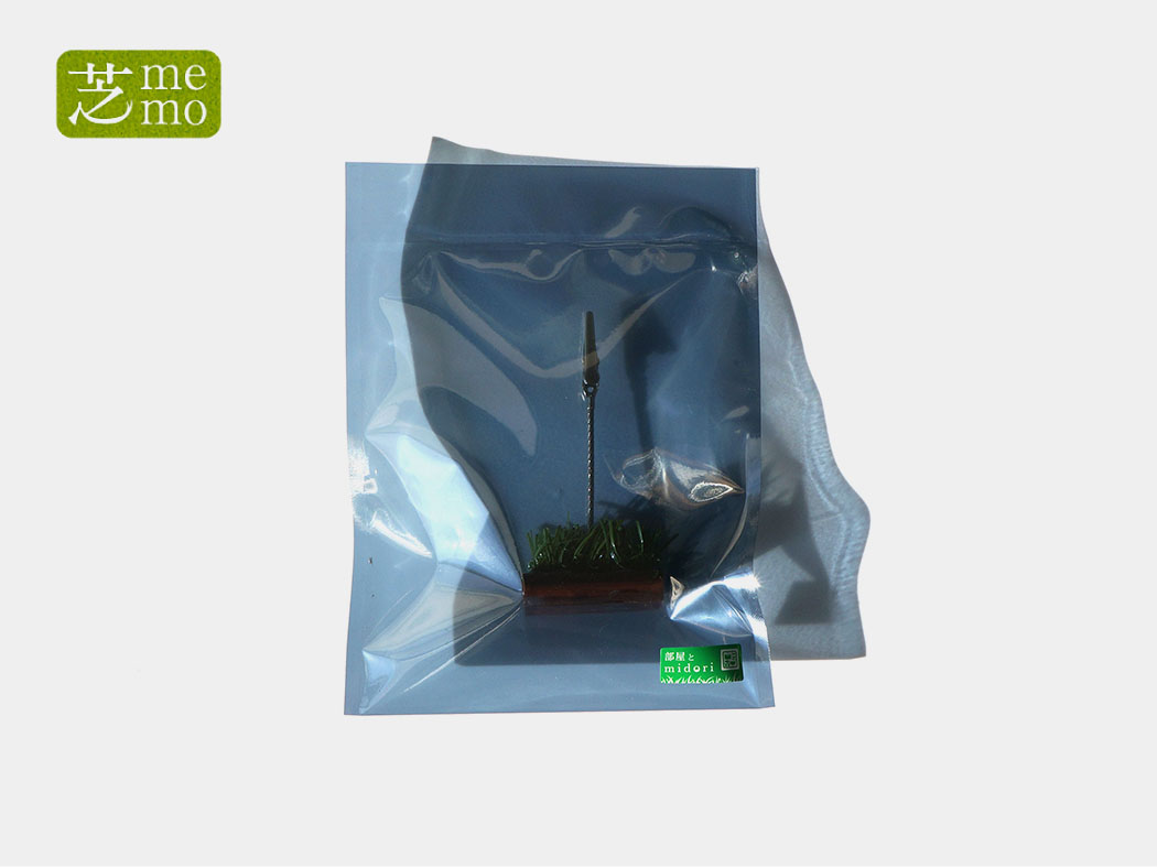 芝memoブラウン5