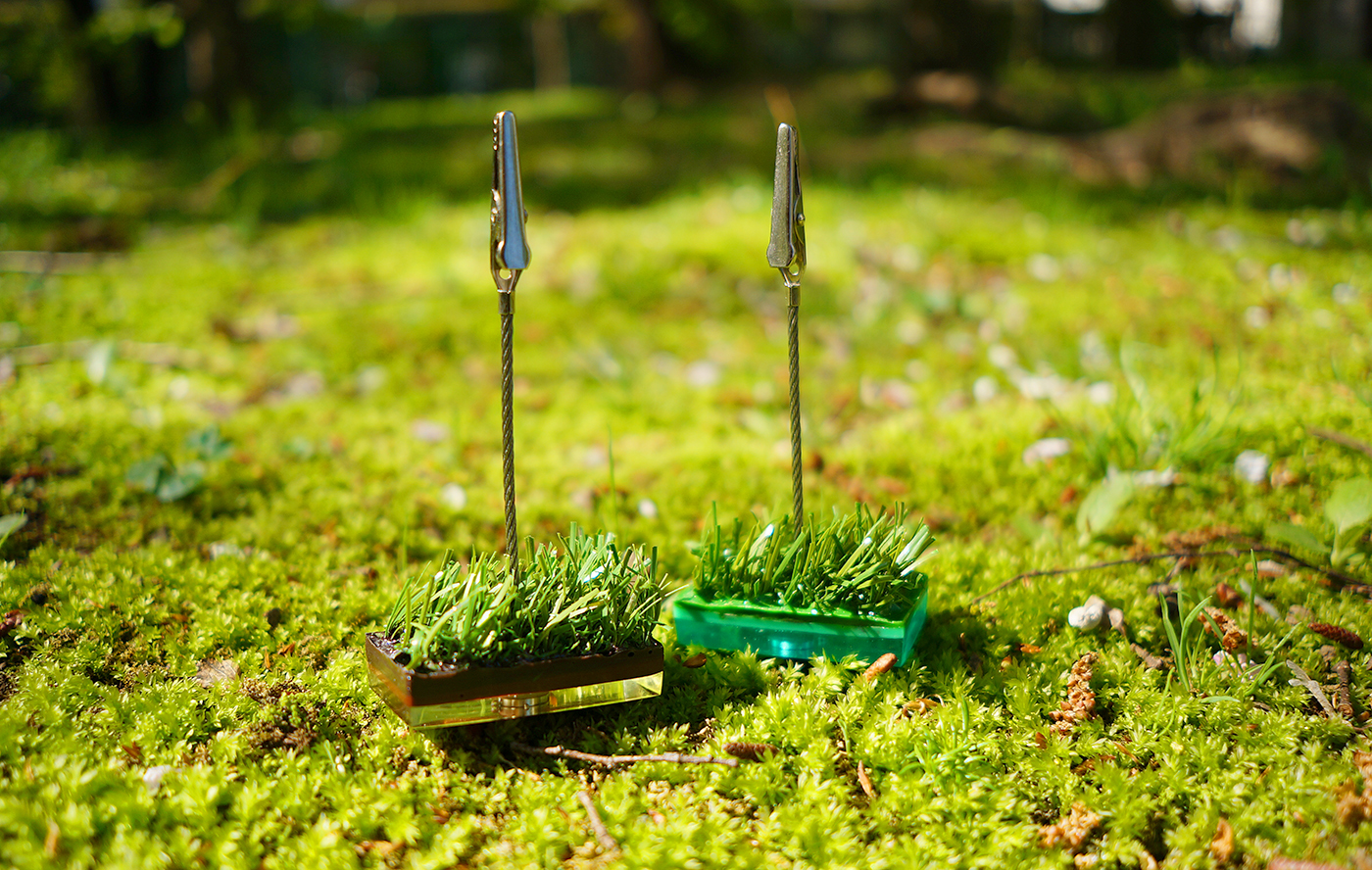 芝memoが2個並ぶ